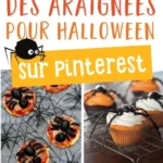 10 recettes daraignees pour halloween reperees su 2026 07 23 082732 461x1024 1