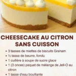 cheesecake au citron sans cuisson 2026 07 18 032623 576x1024 1